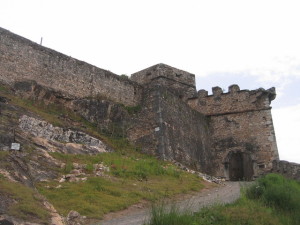 IMG_4195
